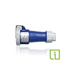 Leviton 430C9WLEVPI Connecteur broche/manchon 30AAvec bleu ind.
