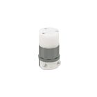 Leviton 5269-CG Connecteur gris-N5-15R