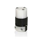 Leviton 5269-PLC Connecteur de lampe témoin industrielle