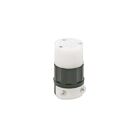 Leviton 5869-C Connecteur 1-15R
