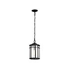 Lanterne suspendue extérieure Nuvo Lighting Raiden 60-5759 1-lumière 100W Noir mat