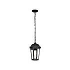 Lanterne suspendue extérieure Nuvo Lighting East River 60-5944 1-lumière 100W Noir mat
