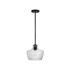 Suspendu à tige Nuvo Lighting 60-7706 Destin 1-Lumière Noir