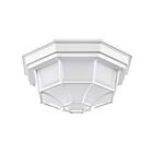 Plafonnier Extérieur Nuvo Lighting 62-1399 Blanc