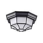 Plafonnier Extérieur Nuvo Lighting 62-1400 Noir