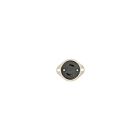 Leviton 7526-C Sortie à bride-Nema L1-15R