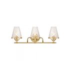 Savoy House 8-3596-3-322 Candler 3-Lumières 180W Laiton Vanité 