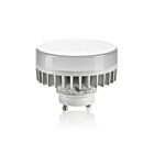 Leviton 9855-LEDAmpoule de remplacement menée