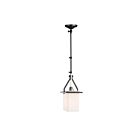 Suspendu ou applique murale Artcraft Brydon AC11240NB 60W 1 lumière noir et nickel brossé