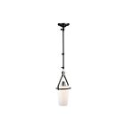 Suspendu ou applique murale Artcraft Brydon AC11241NB 60W 1 lumière noir et nickel brossé