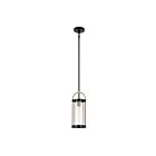 Artcraft Bonita AC11511BB Noir et laiton brossé 40W Suspendu à tige