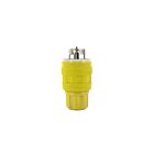 Leviton 26W10 Bouchon de verrouillage non Nema