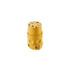 Leviton 615CV Prise de terre en PVC 15A 250V