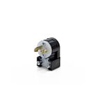 Leviton ML1-AP Prise de verrouillage 2P2W 15A 125V