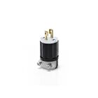 Leviton ML1-P Prise de verrouillage 2P2W 15A 125V