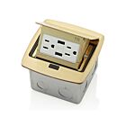 Leviton PFUS1-BR Boîte de sol escamotableAvec USB duplex 15A, laiton