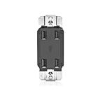 Leviton USB4P-E Chargeur USB 4,2A