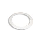 AALED AA-900019AA-4IN Anneau mince 4" pour gaffe