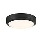 Plafonnier d'extérieur LED Access Lighting Rockaway 20250LEDMG-MBL-FST 20W Noir mat