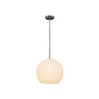 Suspendu LED Access Lighting Nitrogen 23952LEDDLP-BS-OPL 10W acier brossé