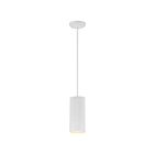 Suspendu à tige Access Lighting Pilson 29001-MWH 60W Blanc mat