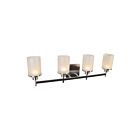 Vanité LED Access Lighting Perch 62512LEDD-BS-CSL 20W 4 Lumières acier brossé