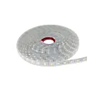 Bande flexible LED Arani ST3528-48W-CW 48W