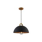 Artcraft AC12001BB 1-Light 100W Noir Suspendu