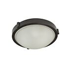 Plafonnier Artcraft Boise AC2310OB 100W 1-lumière bronze huilé