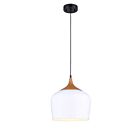 Suspendu Canarm Raphael Blanc 1 lumière IPL614A01WH