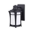 Lanterne murale Canarm série Maya noire IOL138BK