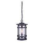 Luminaire Suspendu extrieur Canarm IOL343BK Duffy 1-lumière 100w Noir
