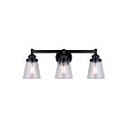 Luminaire de vanité Canarm DECLAN IVL1097A03BK 180W 3 lumières noir mat