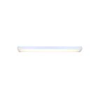 Canarm LW48A40-MS 40W 4' Luminaire enveloppant LED