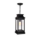 Suspendu d'extérieur CWI Lighting Milford 0418P7L-1 60W 1 lumière noir