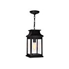 Suspendu d'extérieur CWI Lighting Milford 0418P7S-1 60W 1 lumière noir