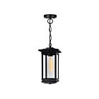 Suspendu d'extérieur CWI Lighting Oakwood 0422P7-1-101 40W 1 lumière noir