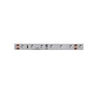 Ruban lumineux LED Dainolite DLT-48BL 4.8W 5M bleu