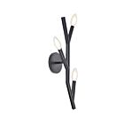 Dainolite MOR-203W-MB Morgan 180W 3-Lumières Noir mat Applique murale