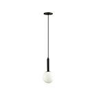 Suspendu incandescent Dainolite Tara TAR-61P-MB-WH 60W 1 lumière noir mat