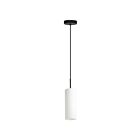 Suspendu Eglo Troy 205131A 1-Lumière Noir 60W