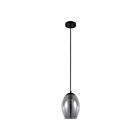 Suspendu Eglo Estanys 39564A 1-Lumière Noir 60W