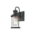 Applique murale ELK Home Millburn 47450-1 60W 1 lumière noir mat