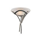 Applique murale ELK Home Aurora 001-TS 100W 1 lumière argent terni