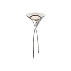 Applique murale ELK Home Aurora 002-TS 100W 1 lumière argent terni