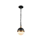 Mini suspendus ELK Home Harmelin 14474-1 60W 1 lumière noir mat