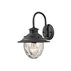 Applique murale extérieur ELK Home Searsport 45040-1 100W 1 lumière charbon vieilli