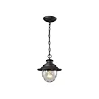 Suspendu d'extérieur ELK Home Searsport 45041-1 100W 1 lumière charbon vieilli