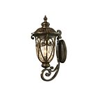 Applique murale extérieur ELK Home Logansport 45072-1 100W 1 lumière noisette bronze