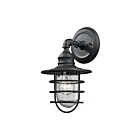 Applique murale extérieur ELK Home Vandon 45212-1 60W 1 lumière noir mat texturé